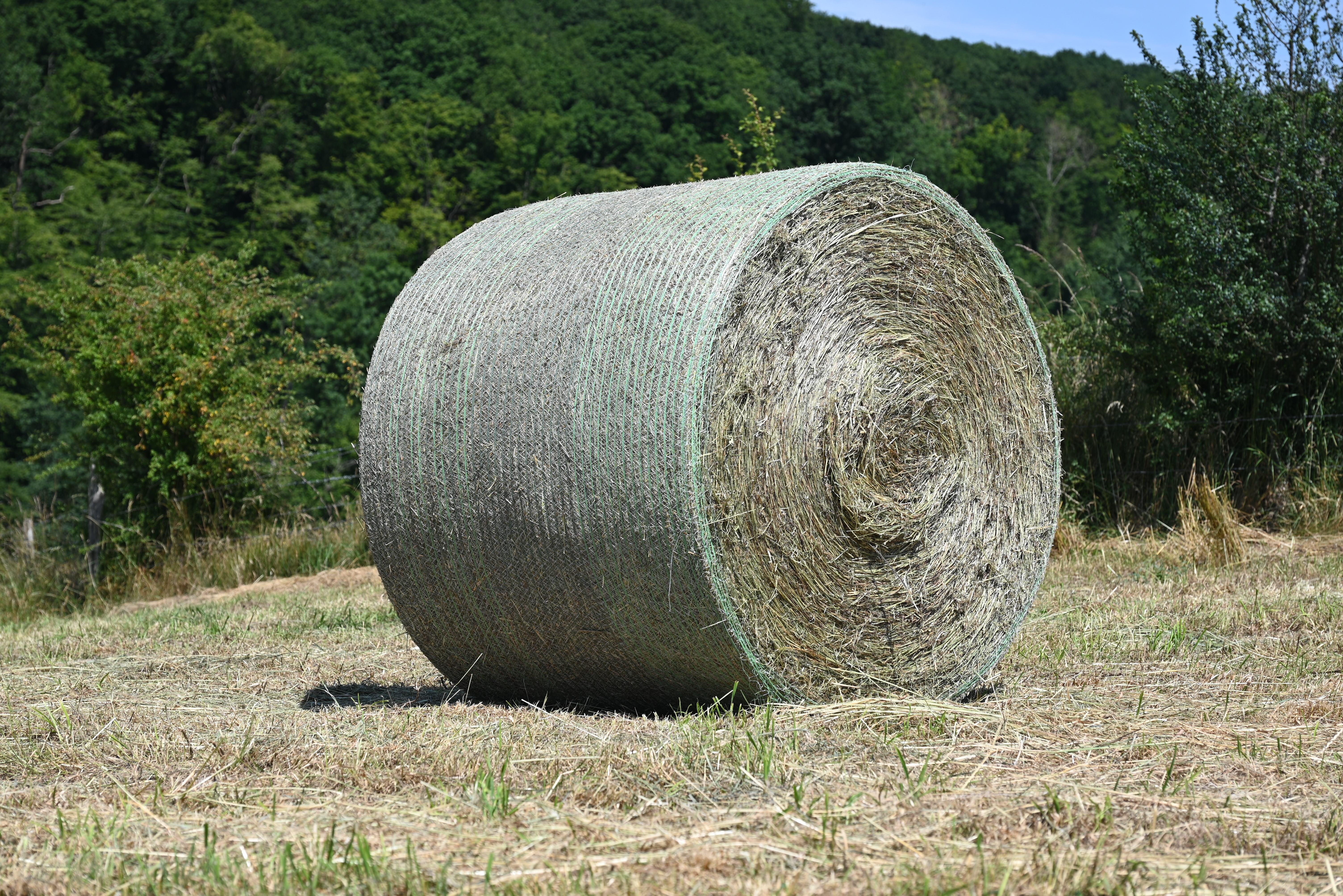 DSC_2074.JPG